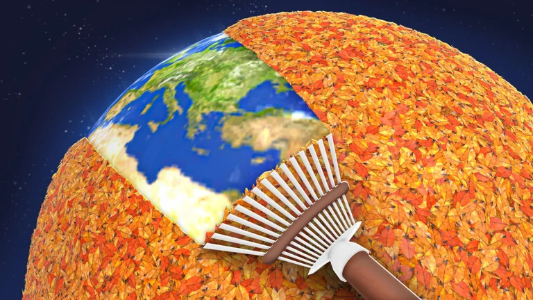 🍂 Clean all the leaves!